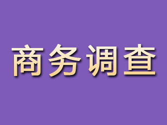 曲周商务调查